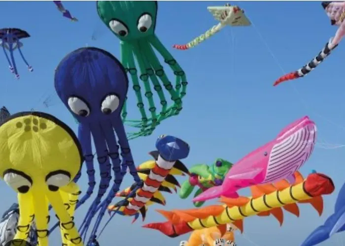 Studio, 50m De La Plage, Rdc Appartement Berck